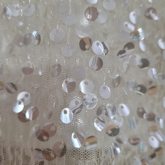 Sequin dress / Zara / S - Picture 6 of 8